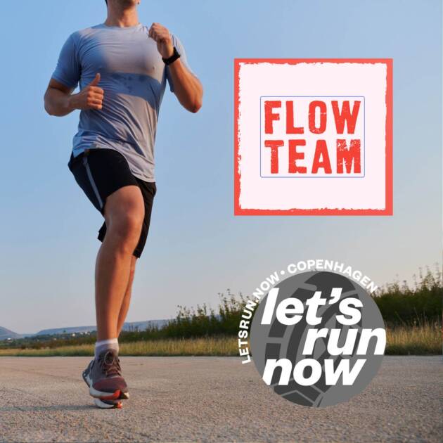 FLOW Forløb - TEAM
